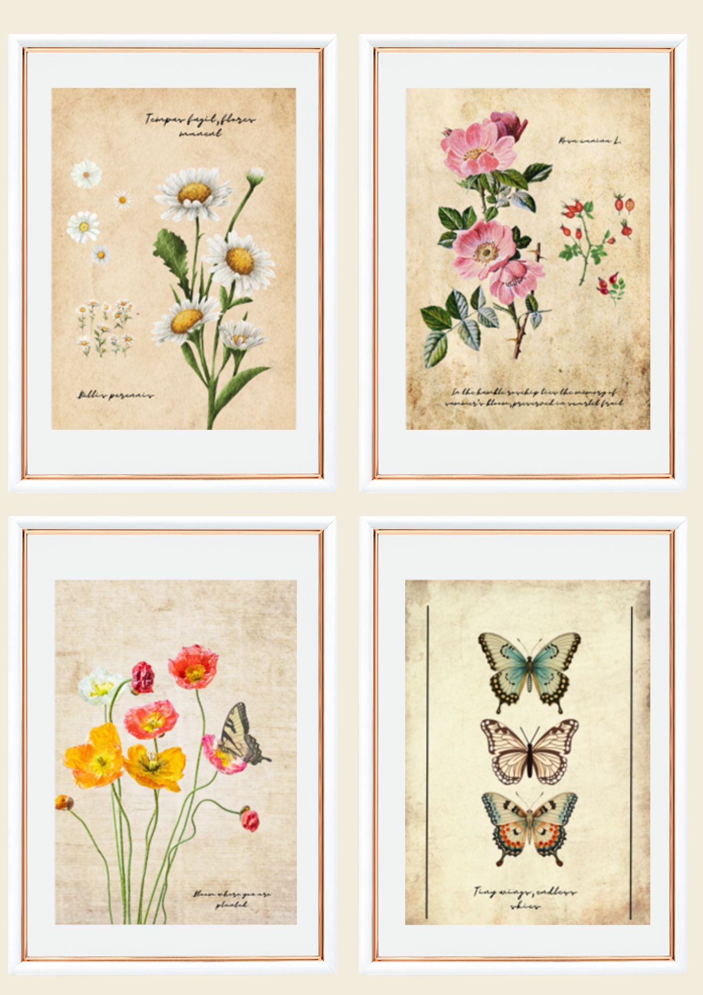 Vintage Wall Art