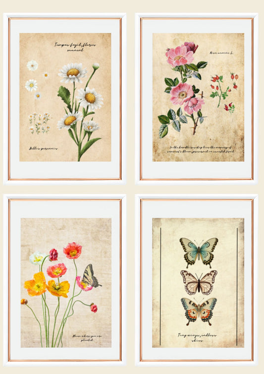 Vintage Wall Art